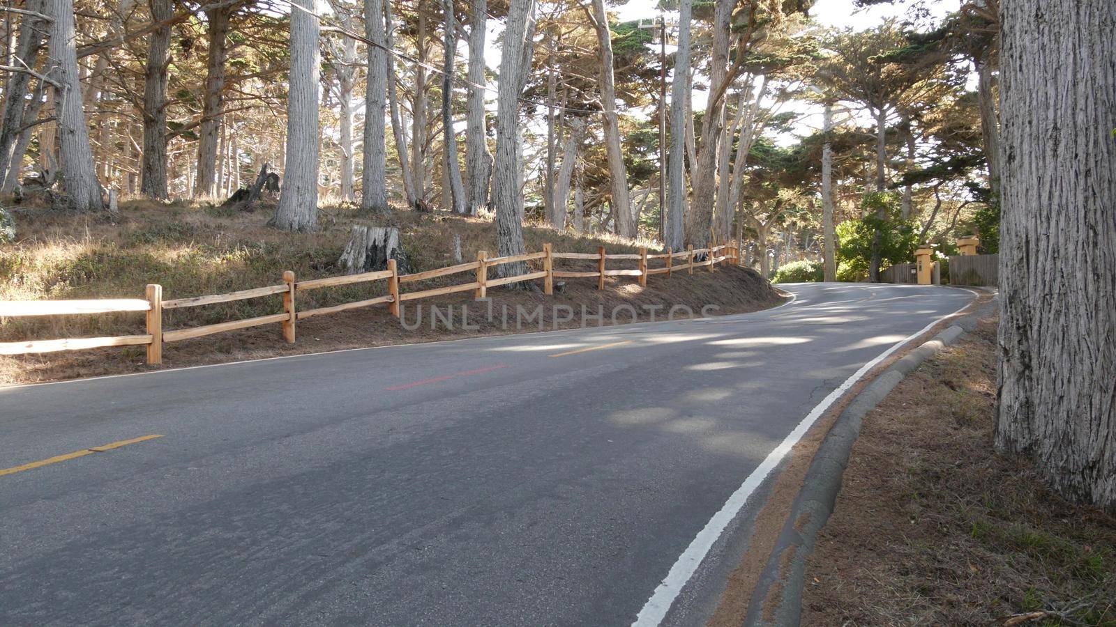 17-mile drive scenic road, Monterey peninsula, California, USA. Road trip thru cypress tree forest, coniferous evergreen pine woodland, grove or woods. Pacific coast highway tourist route near Big Sur