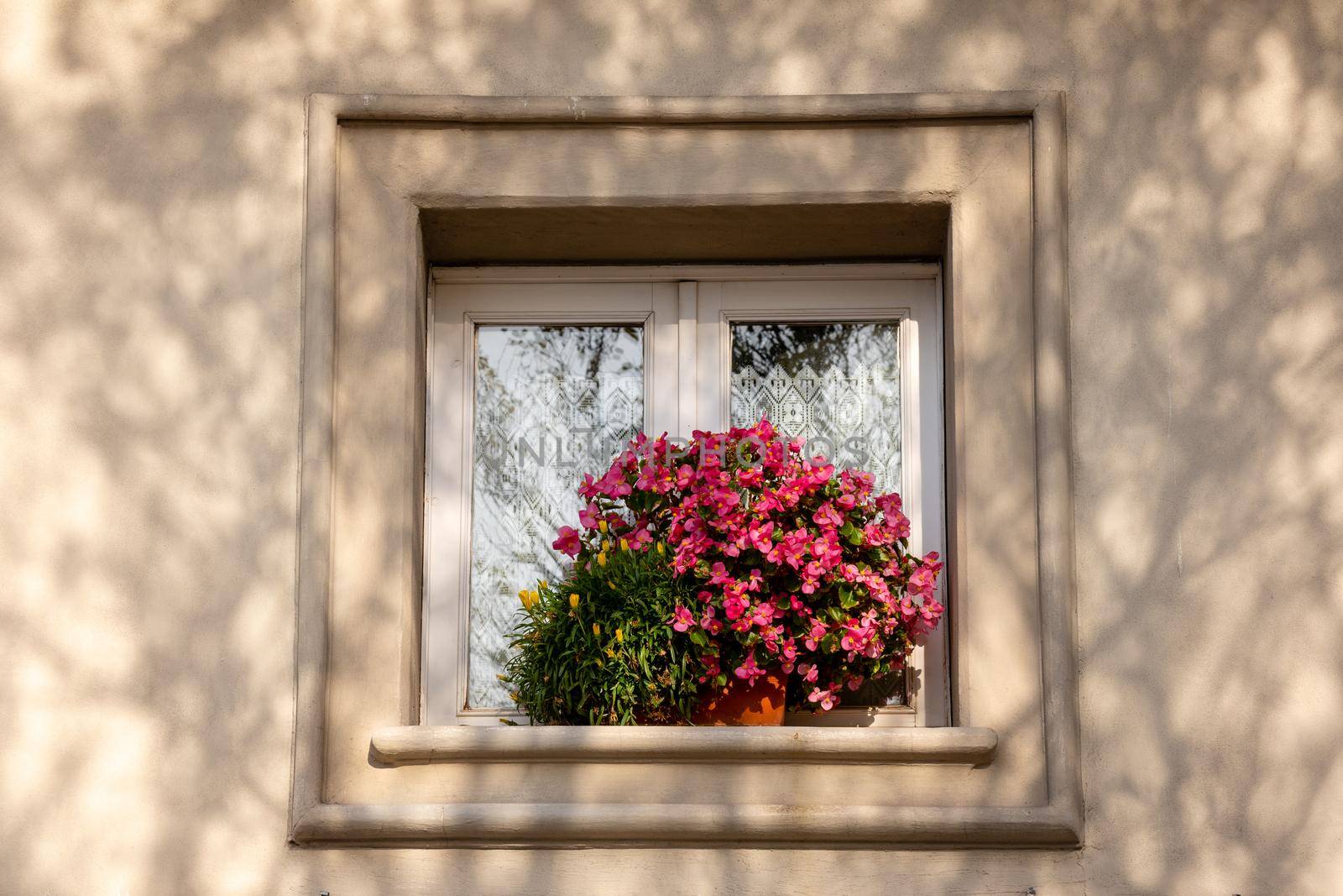 Typical italian window decorated with blooming fresh flowers in pot. Facade of the house in Italy. Vintage window, detail of european architecture in small town.