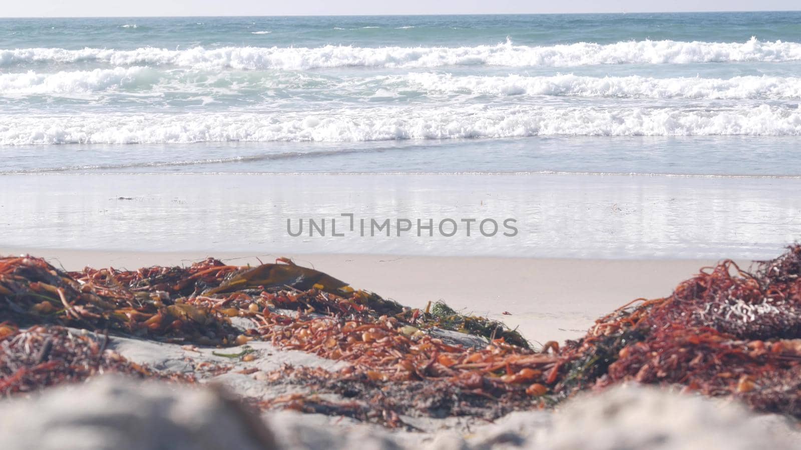 Big blue ocean waves crashing on beach, California pacific coast, USA. Sea water foam, kelp seaweed algae and white sand. Summertime shore aesthetic seascape. Surfing vibe. Seamless looped cinemagraph
