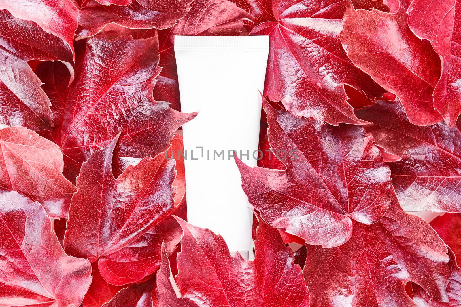 Mock up cosmetic tube on red wild grape leaves background. Moisturizer, shampoo, hand cream, toothpaste. Branding identity mockup. Beauty spa medical skincare, lotion bottle packaging product.