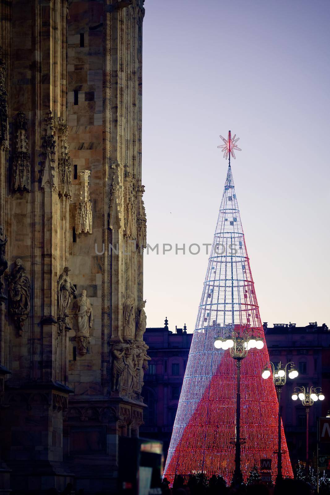 Christmas tree in front of Milan cathedral, Duomo square in december, night view. Decorated tree in european downtown. Milan, Italy - December, 25, 2019 by photolime