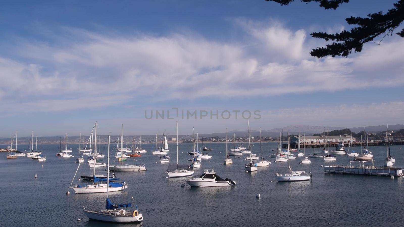 Yachts in harbor or bay, Monterey marina, Old Fishermans Wharf, California coast by DogoraSun