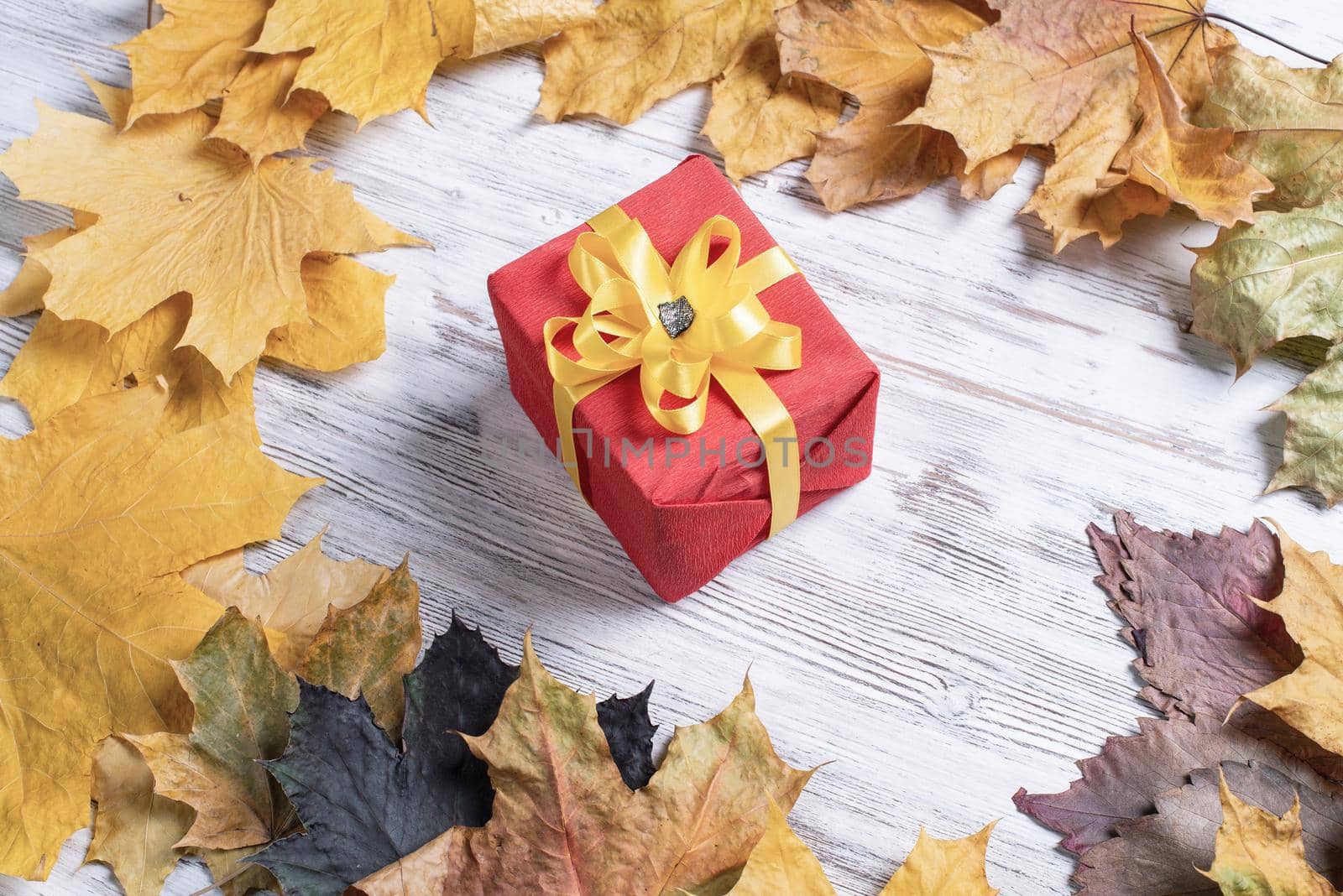 Bright autumn composition with gift box by adam121