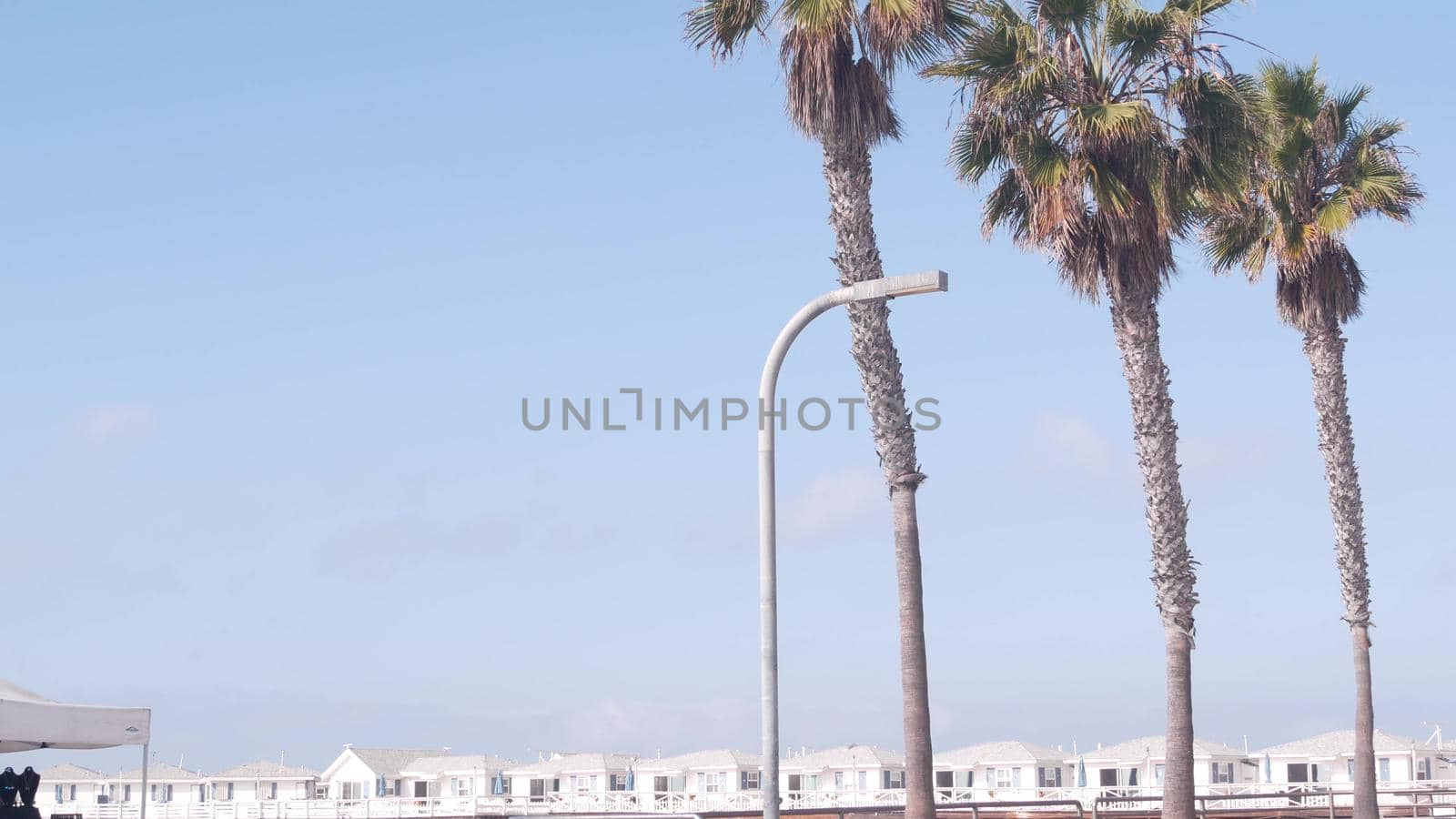 Palm tree and wooden Crystal pier with cottages, California ocean beach, USA. by DogoraSun