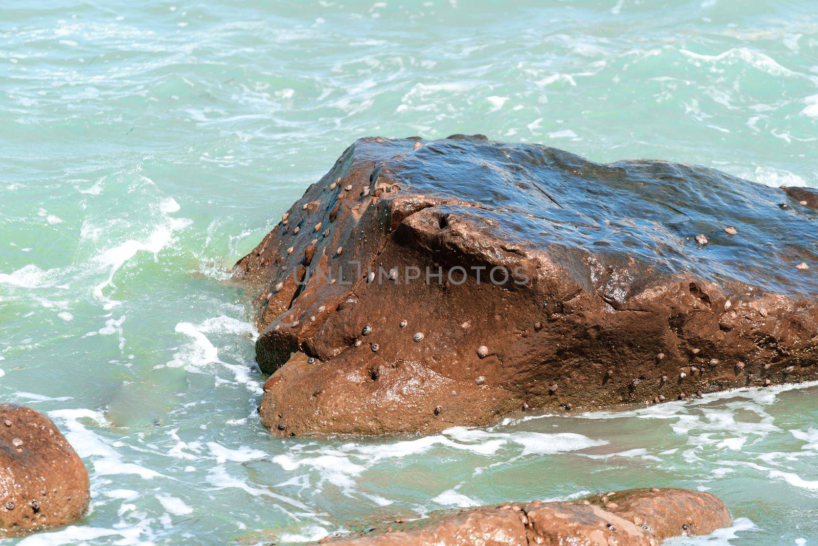 Splashes from the waves bumping against rocky shore. Soft wave crashing huge stone at bay. Sea wave breaks on beach rocks landscape. Sea waves crash and splash on rocks. Beach rock sea wave breaking