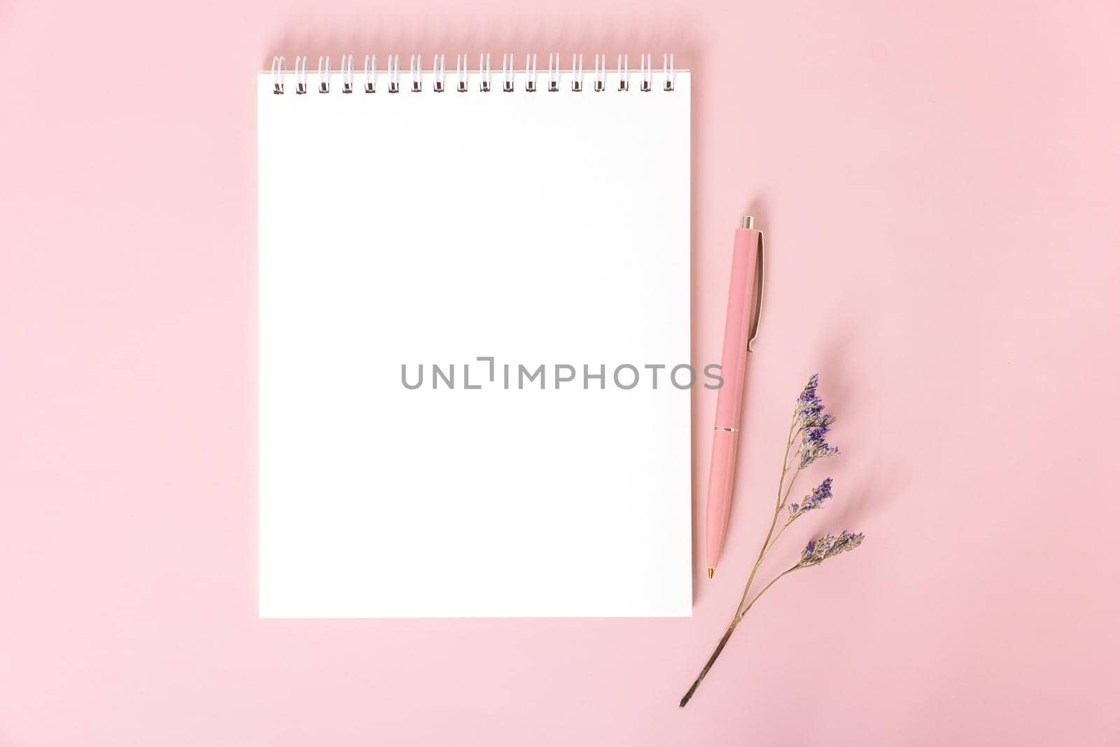 Top view mockup of spiral notepad with white blank sheets, pink pen and dried flower sprig on pink background.