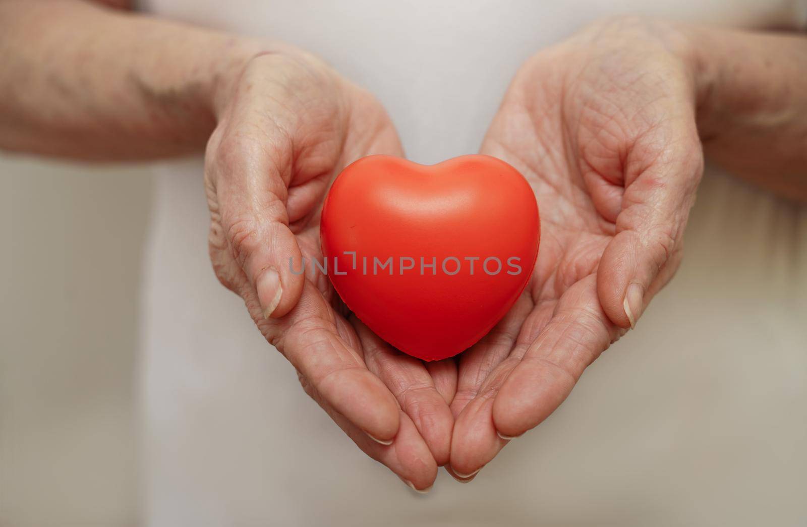 Grandmother woman hands holding red heart, healthcare, love, organ donation, mindfulness, wellbeing, family insurance and CSR concept, world heart day, world health day, national organ donor day by Matiunina