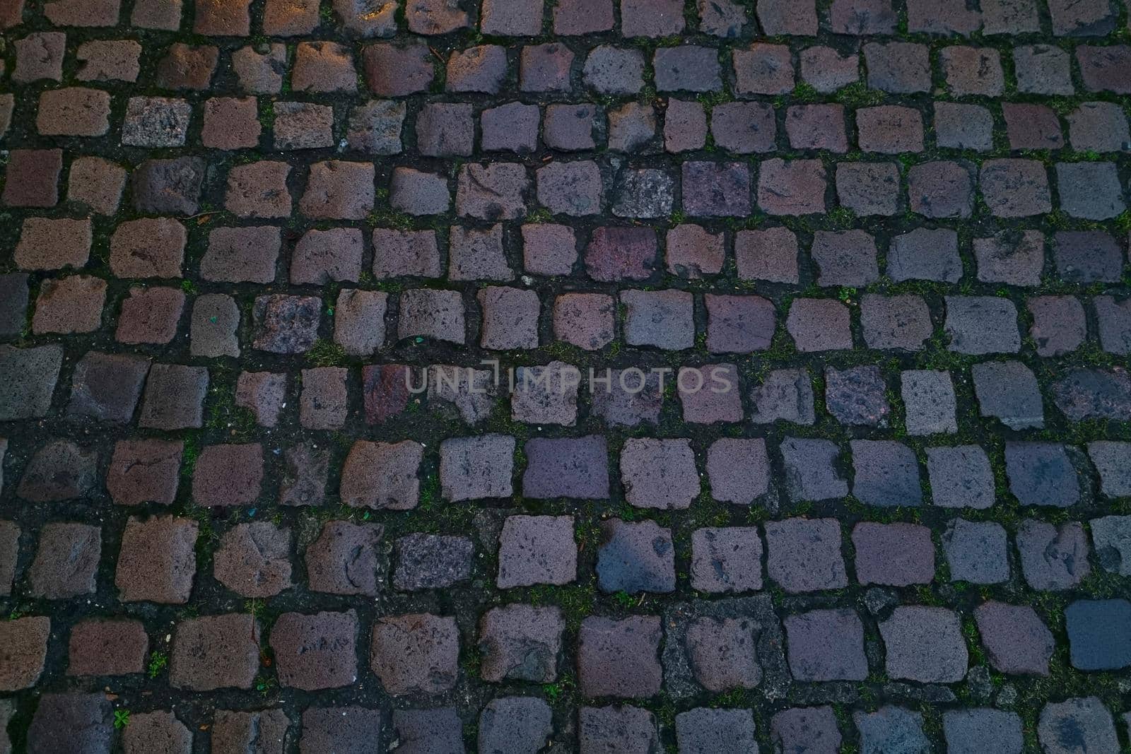 Dark background of stone texture, paving slabs in the city. by kip02kas