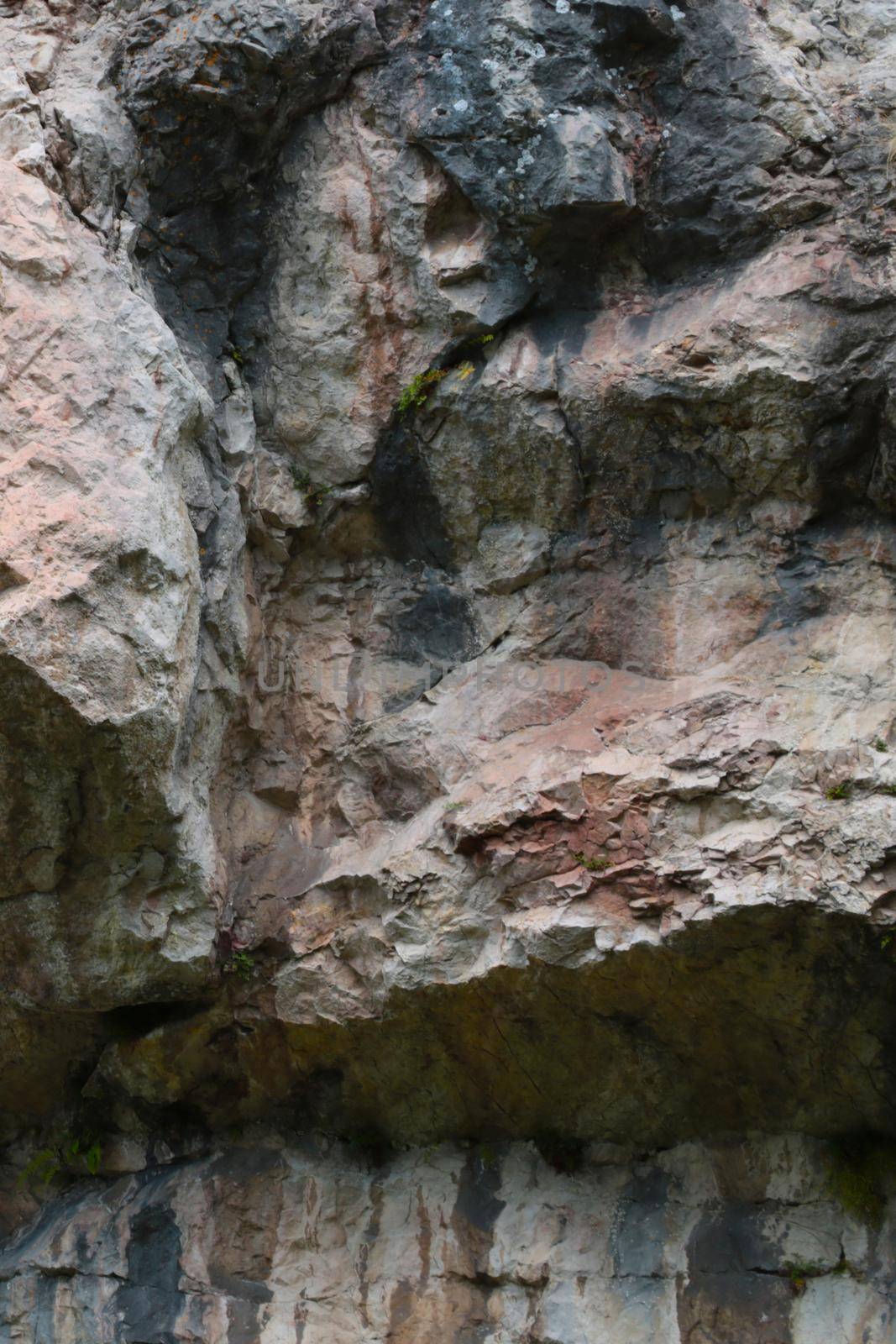 Close-up of the stone texture of a rock in the mountains