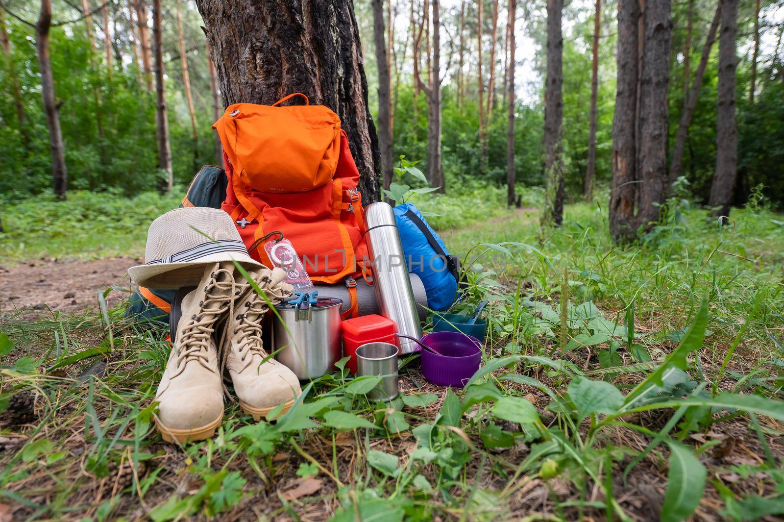 Hiking equipment in a pine forest. Backpack, thermos, sleeping bag, compass, hat and shoes.