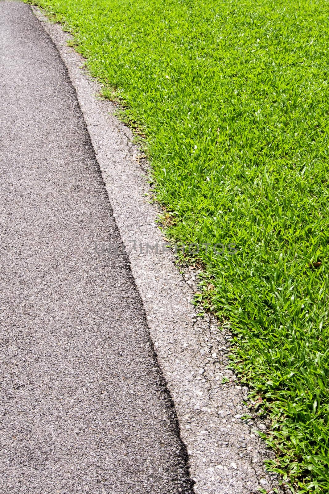 Walkways and concrete edges beside the lawn