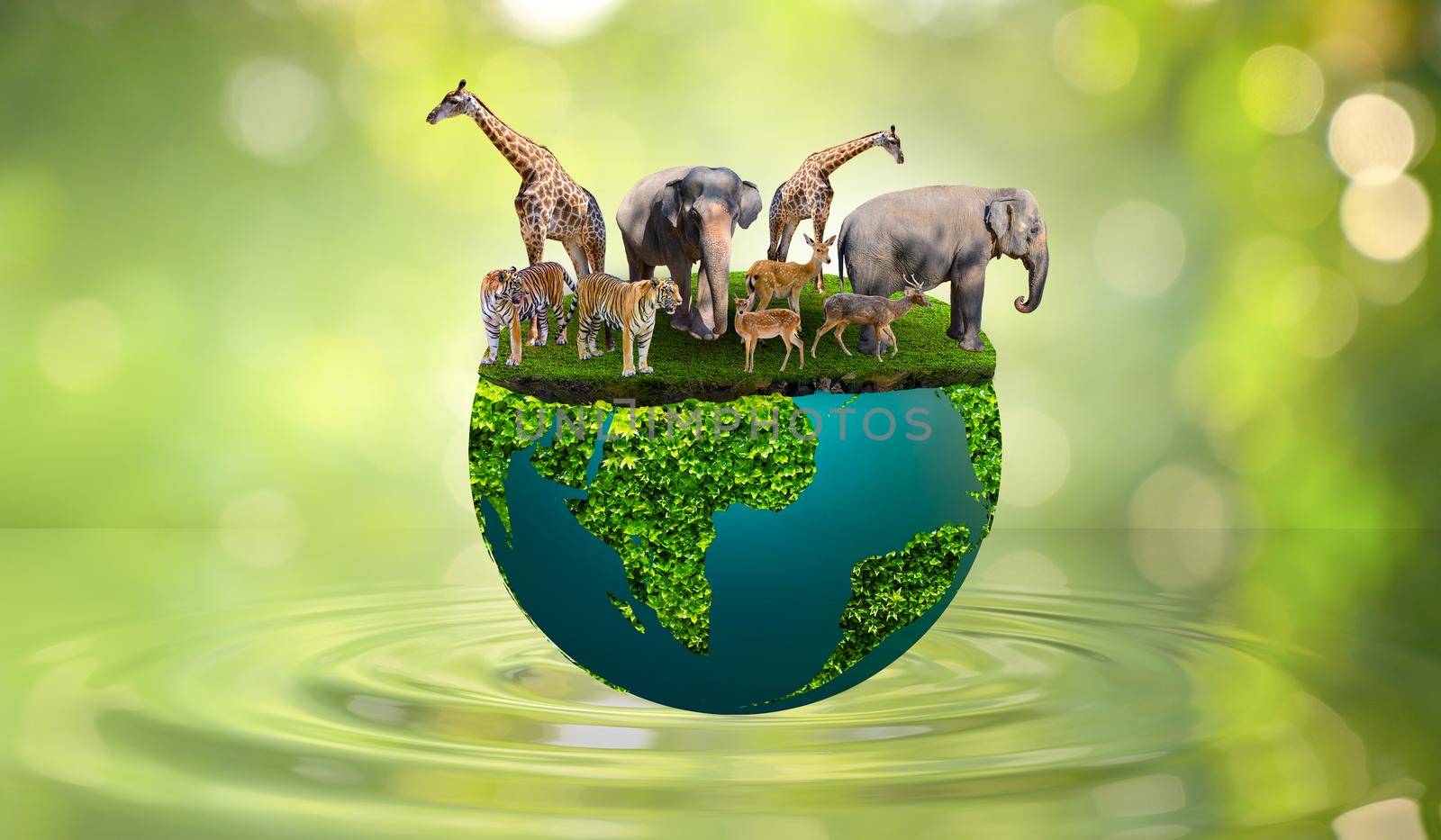 World Wildlife Day Concept Nature reserve conserve Wildlife reserve tiger Deer Global warming Food Loaf Ecology Human hands by sarayut_thaneerat