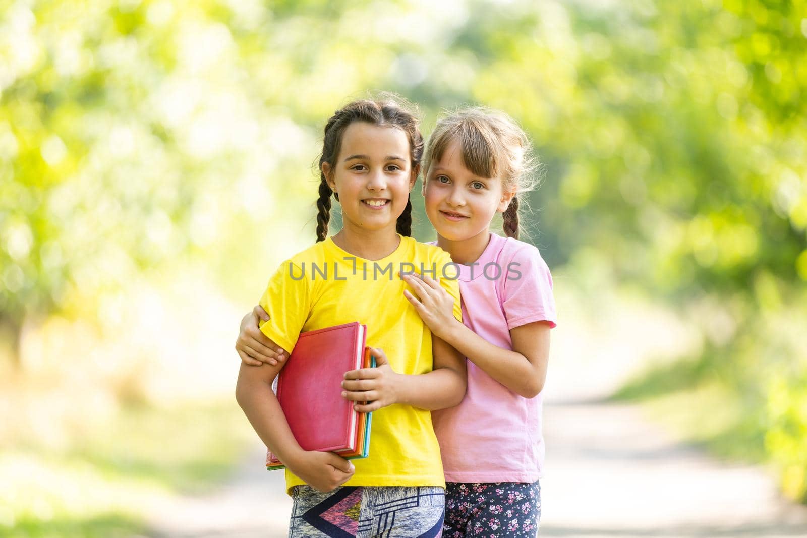 Two beautiful girlfriends girls go to school by the hand. Back to school.