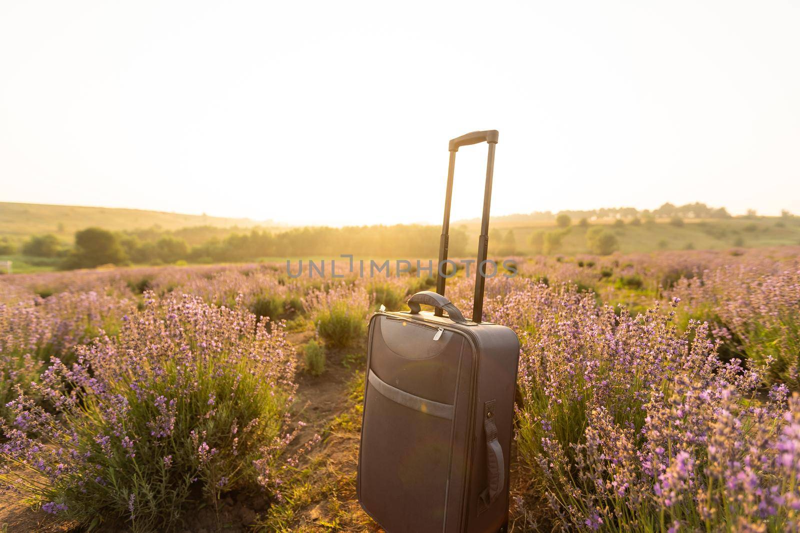 suitcase on the background of hilly lavender and other fields. by Andelov13