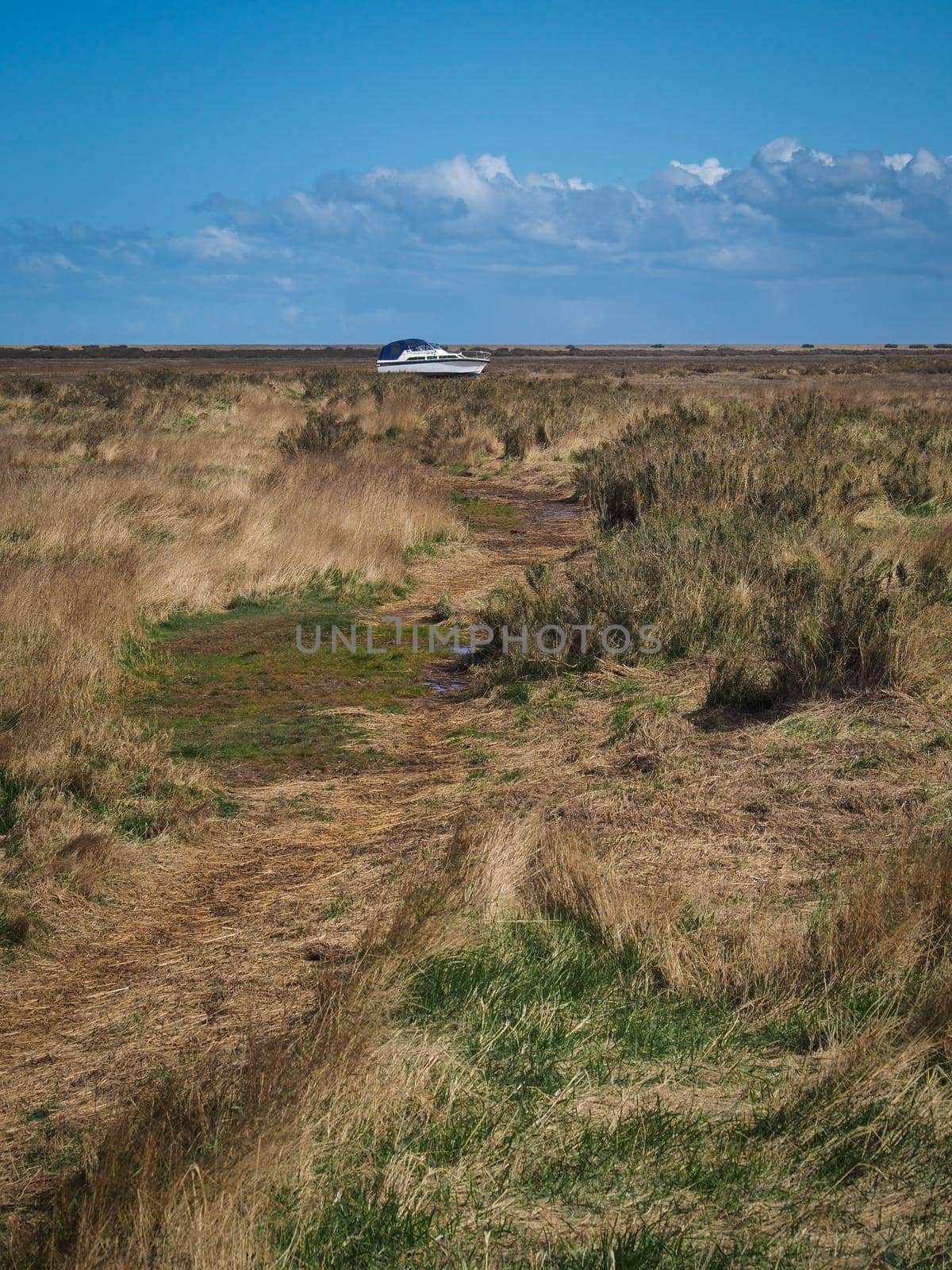 Boat aground on the salt marshes, Blakeney National Nature Reserve, Norfolk by PhilHarland