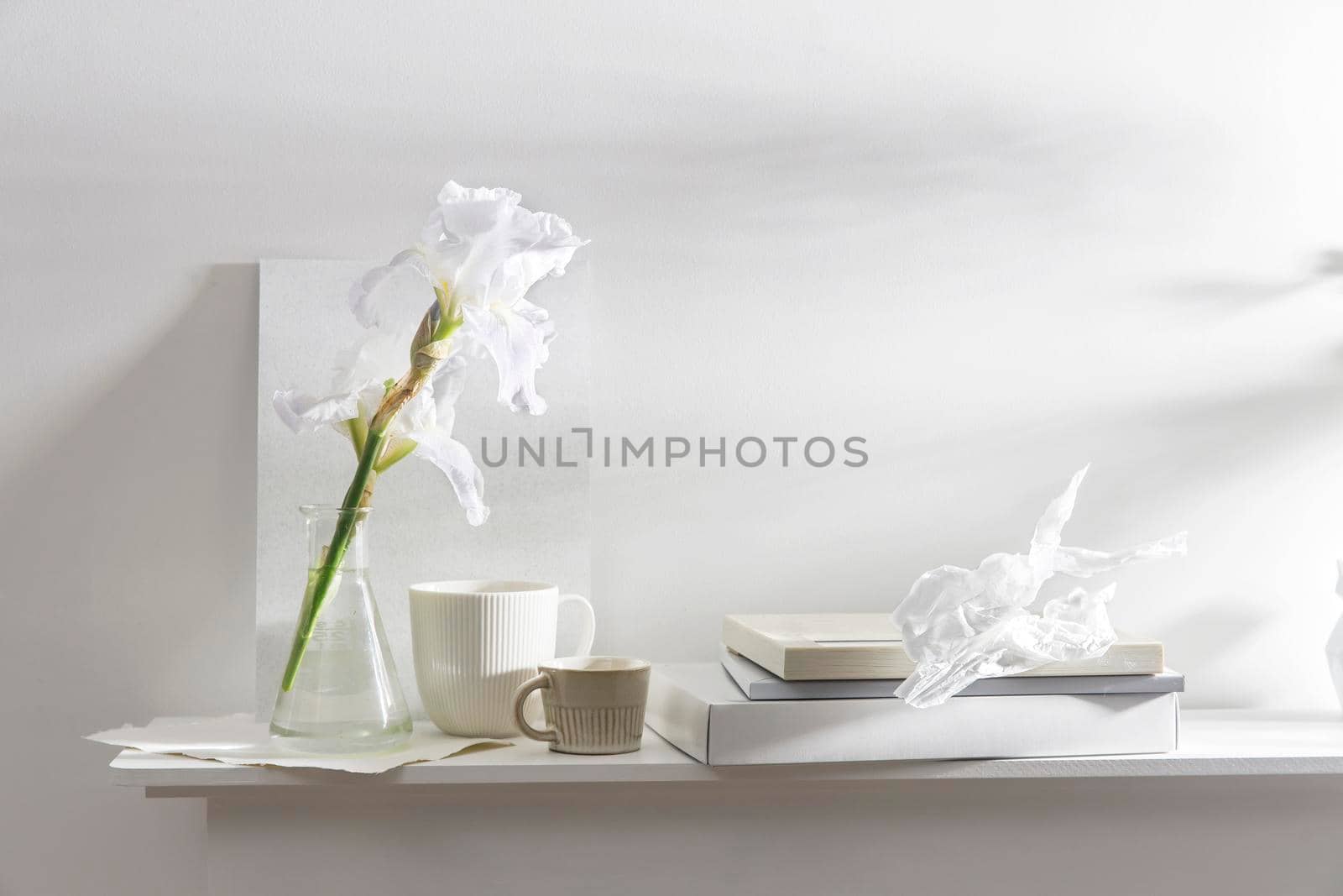 A vase with white iris, cup of different size, frame for photos, box and album on the table. Scandinavian style. by elenarostunova