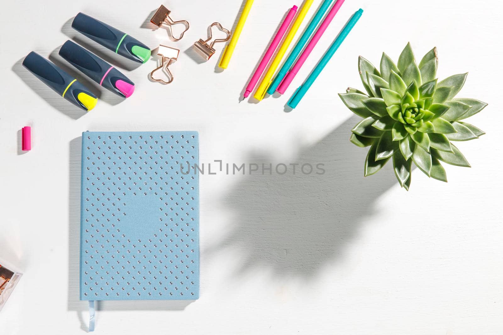 Layout for the office. Back to school. Blue notebook, colorful pens, felt-tip pens, paper clips, potted echeveria. Place for text by elenarostunova