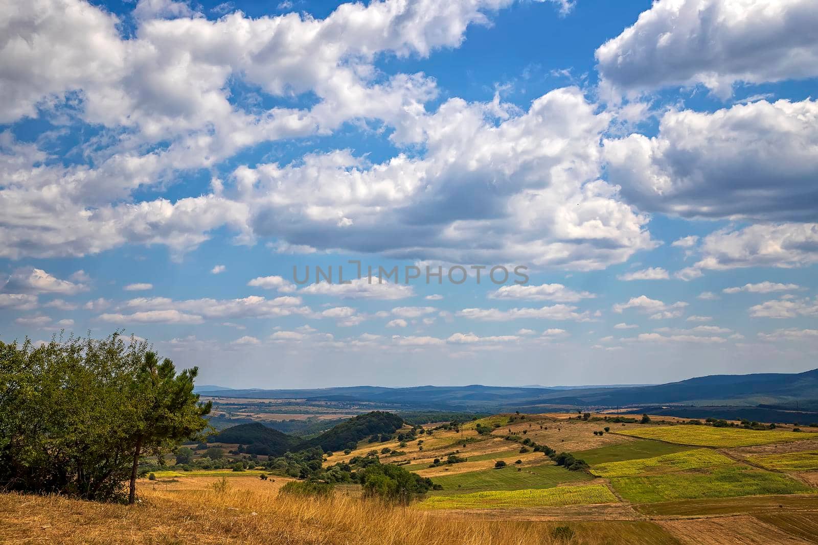 Beauty vast landscape of fields and meadows  by EdVal