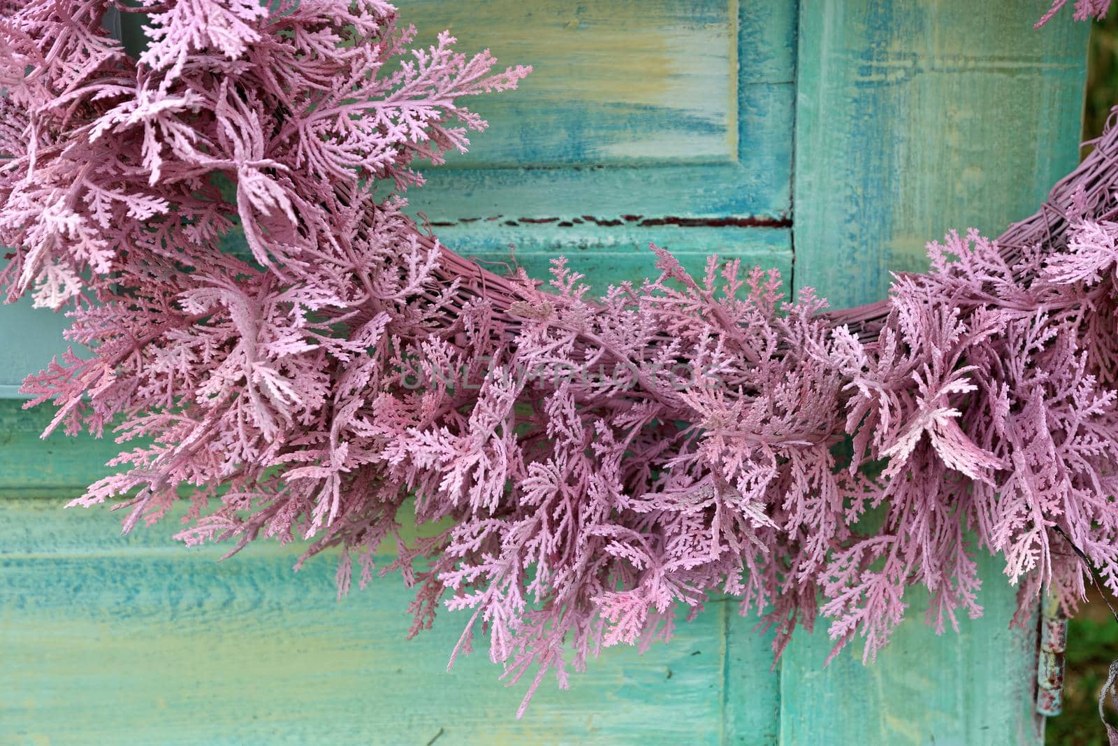 Full Frame Close up of Lavender Purple Cedar Garland on Shabby Chic Turquoise Vintage Door by markvandam