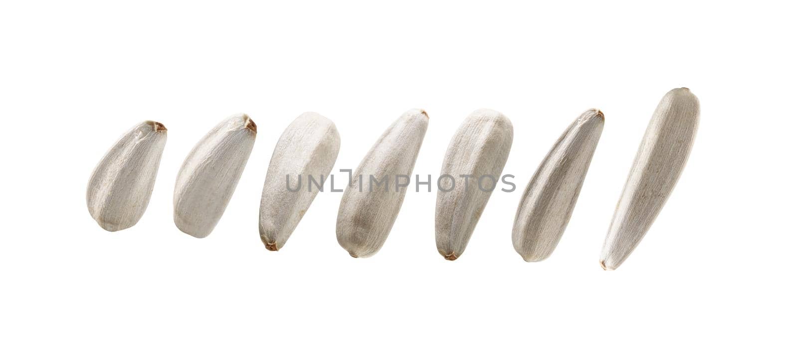 A set of white sunflower seeds. Isolated on a white background.