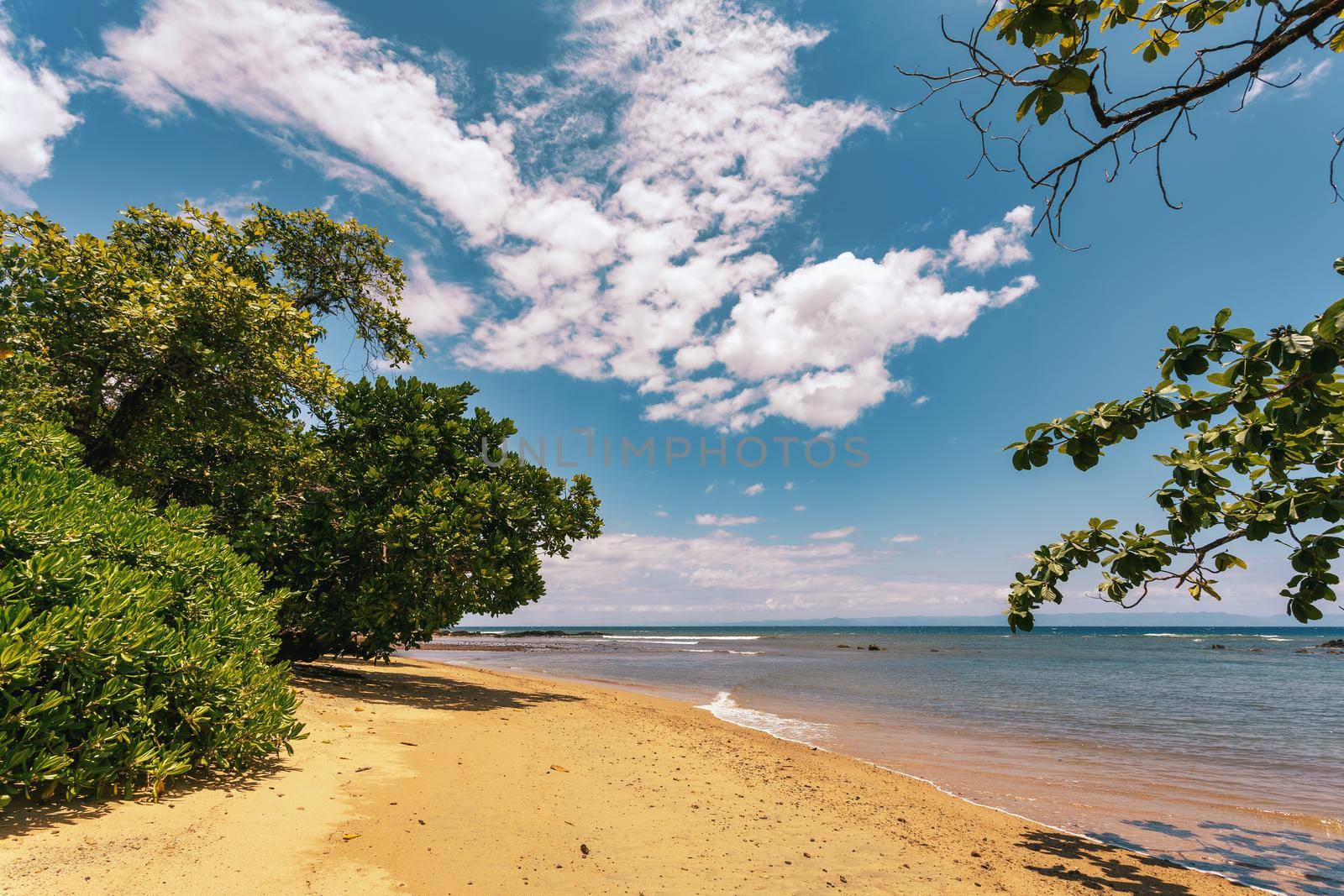 wild paradise beach in Masoala, Madagascar, Africa Wilderness, beautiful nature wilderness landscape