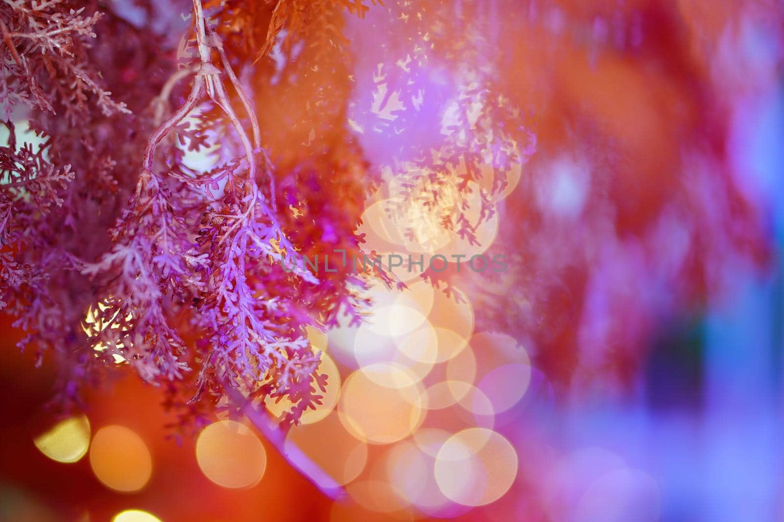 Select focus colorful fake plant with led bokeh by cloudyew