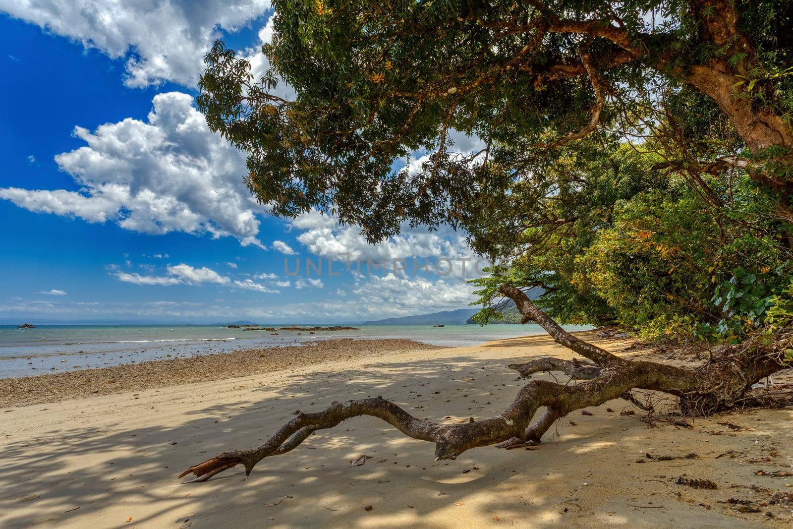 wild paradise beach in Masoala, Madagascar, Africa Wilderness, beautiful nature wilderness landscape