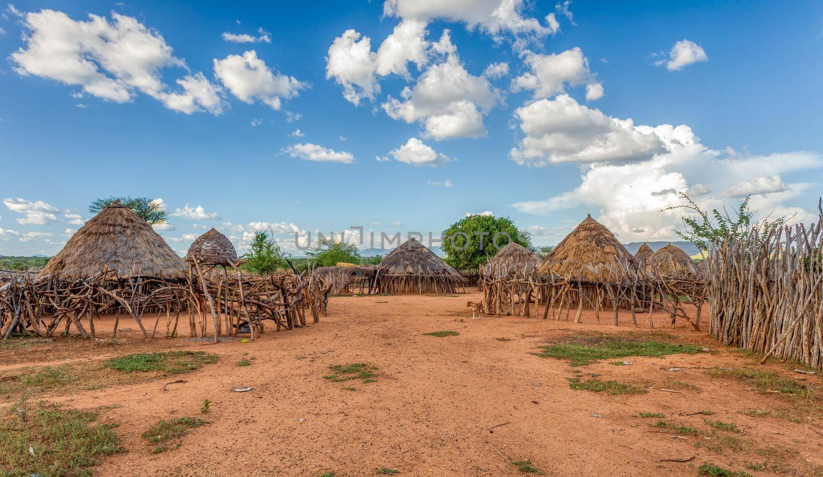 Hamar Village, South Ethiopia, Africa by artush