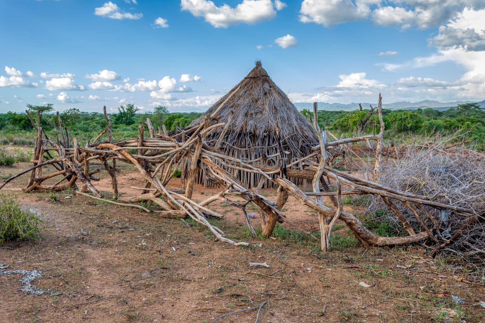 Hamar Village, South Ethiopia, Africa by artush