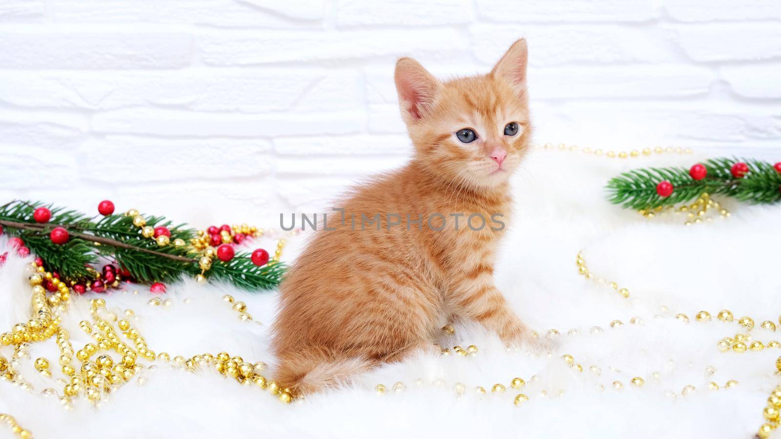Ginger tabby playful curious christmas kitten sits next to christmas decorations, toys. Christmas and new year holidays concept by chelmicky