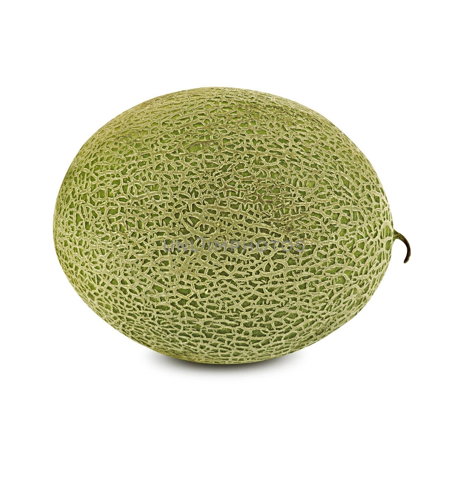 Palatable, juicy cantaloupe melon isolated on white background with copy space for text or images. Pumpkin plant family. Side view. Close-up shot.