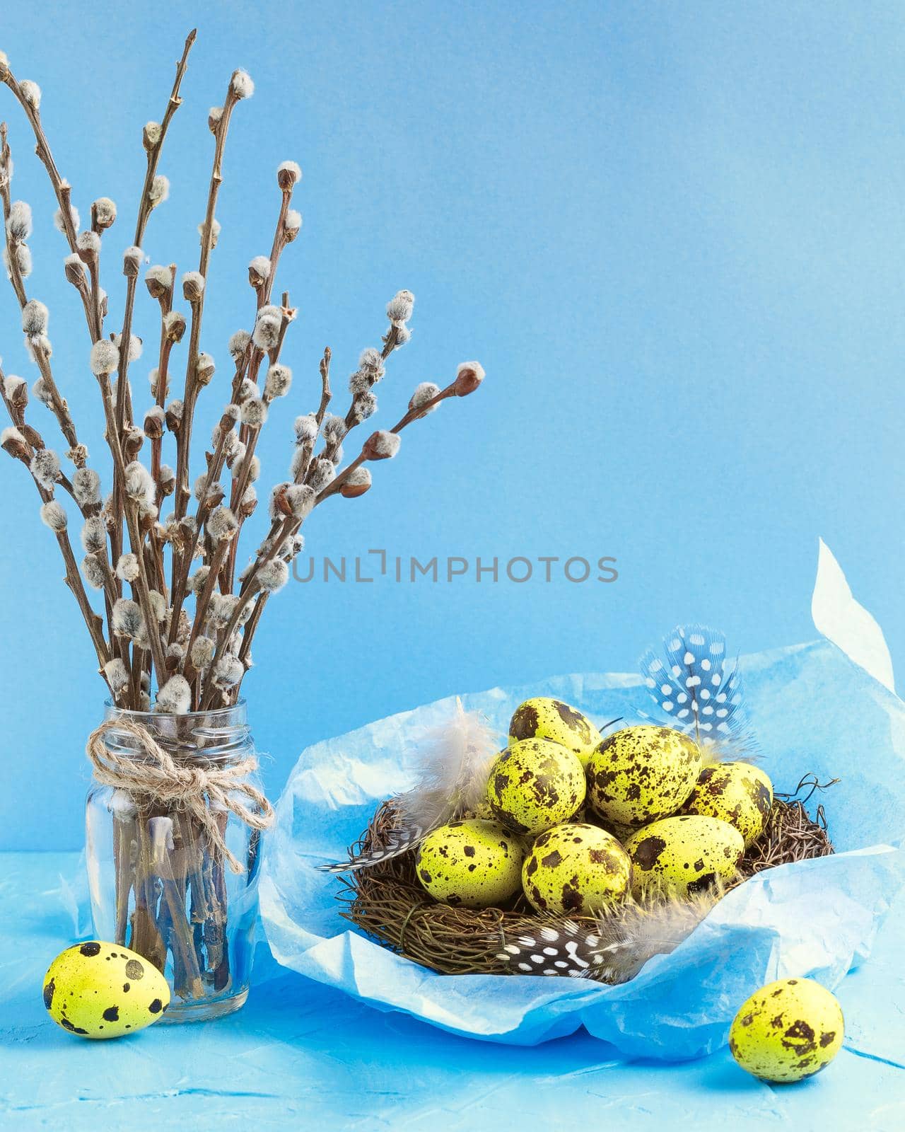 Pussy Willow or Palm Sunday Holiday in Ukraine by Syvanych