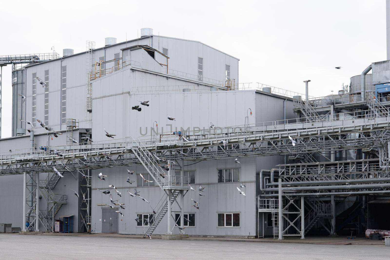 Industrial zone. metal buildings of the sunflower oil plant.