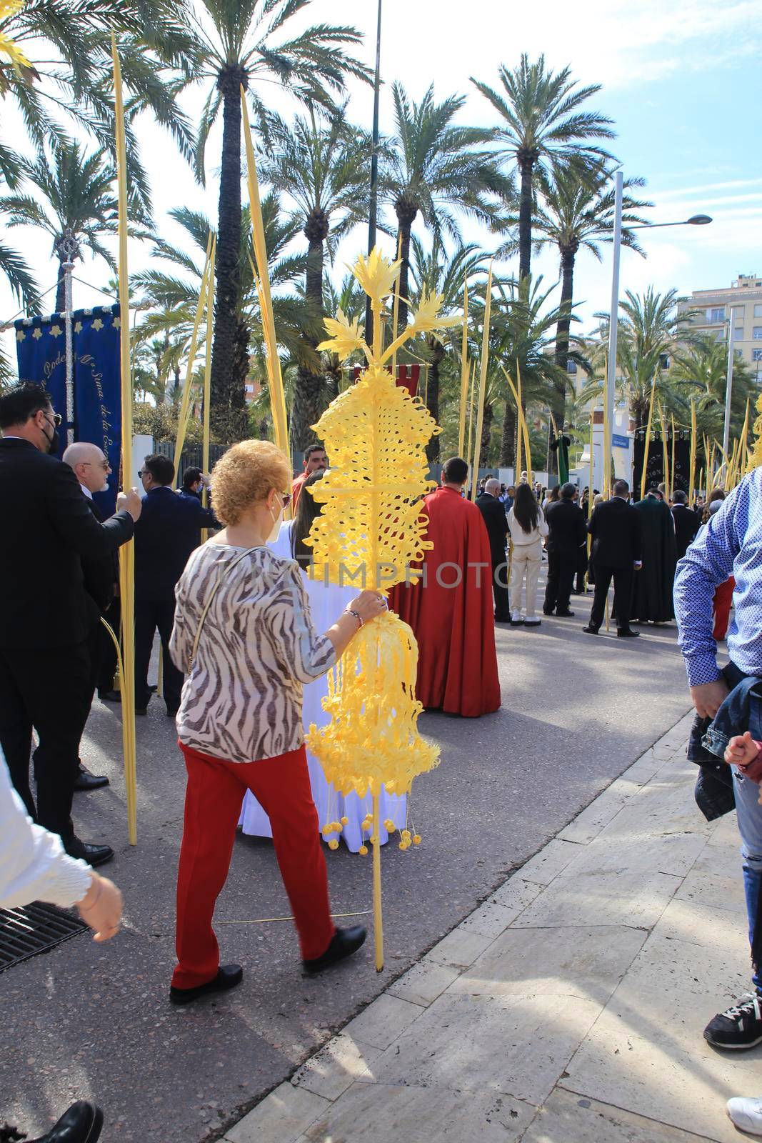 People with white palms for the Palm Sunday in Spain by soniabonet