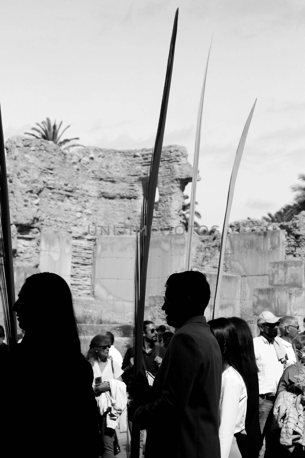 People with white palms for the Palm Sunday in Spain by soniabonet
