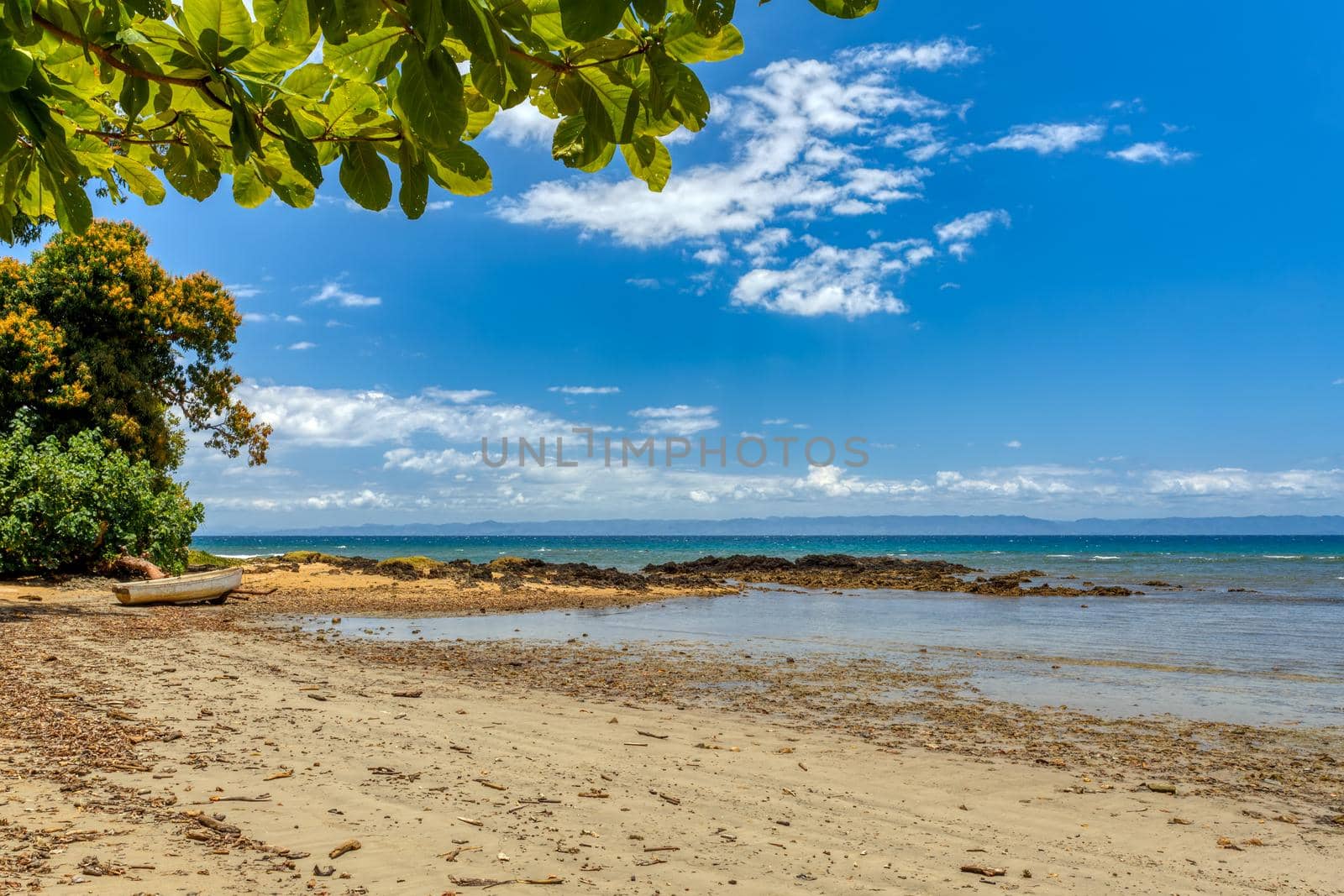 wild paradise beach in Masoala, Madagascar, Africa Wilderness, beautiful nature wilderness landscape