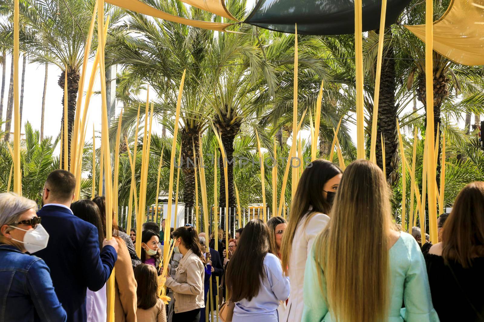 Elche, Alicante, Spain- April 10, 2022: People with white palms for the Palm Sunday of the Holy Week of Elche