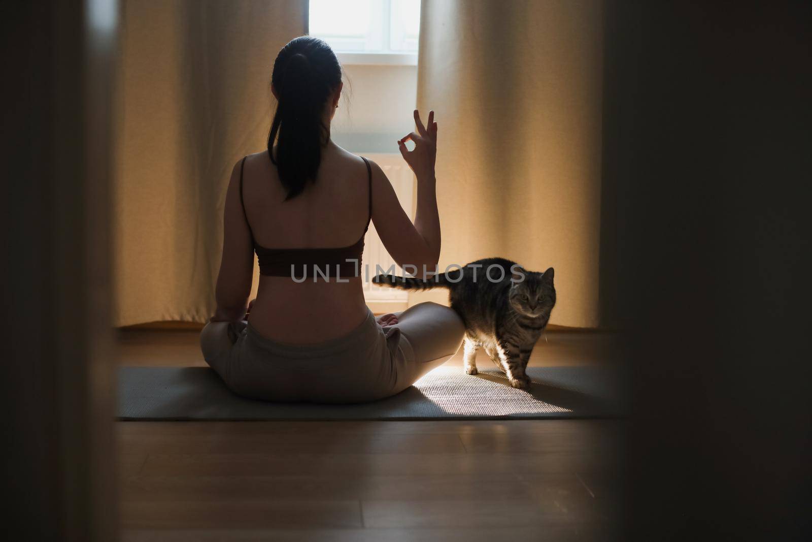 Young woman practices yoga and meditation at home with her cat. Doing exercises at home. Meditation and mental health concept