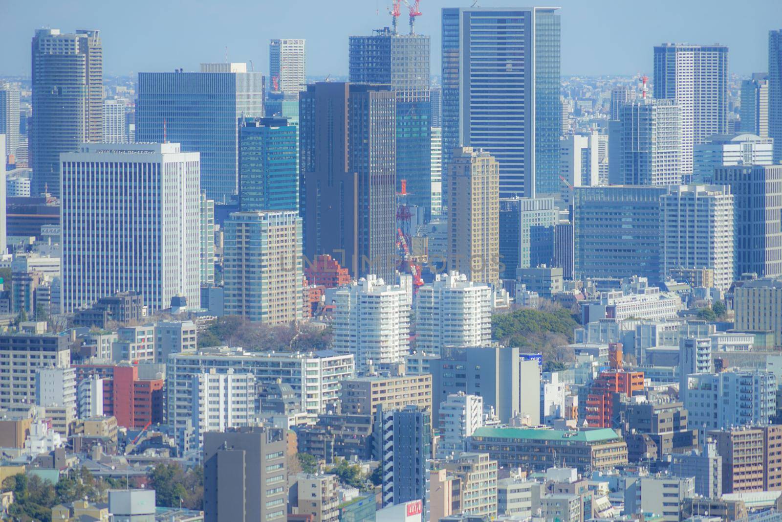 Ebisu Garden Place Place View from the city of Tokyo. Shooting Location: Tokyo metropolitan area
