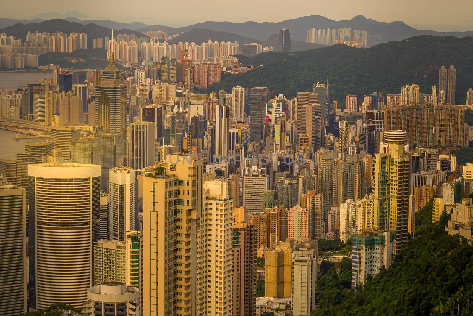 Hong Kongs high-rise building found from Victoria peak. Shooting Location: Hong Kong Special Administrative Region