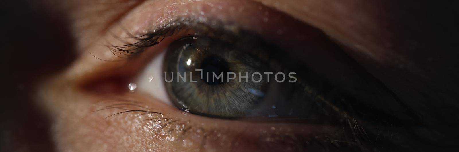 Closeup of woman green eye in dark. Slit lamp examination concept