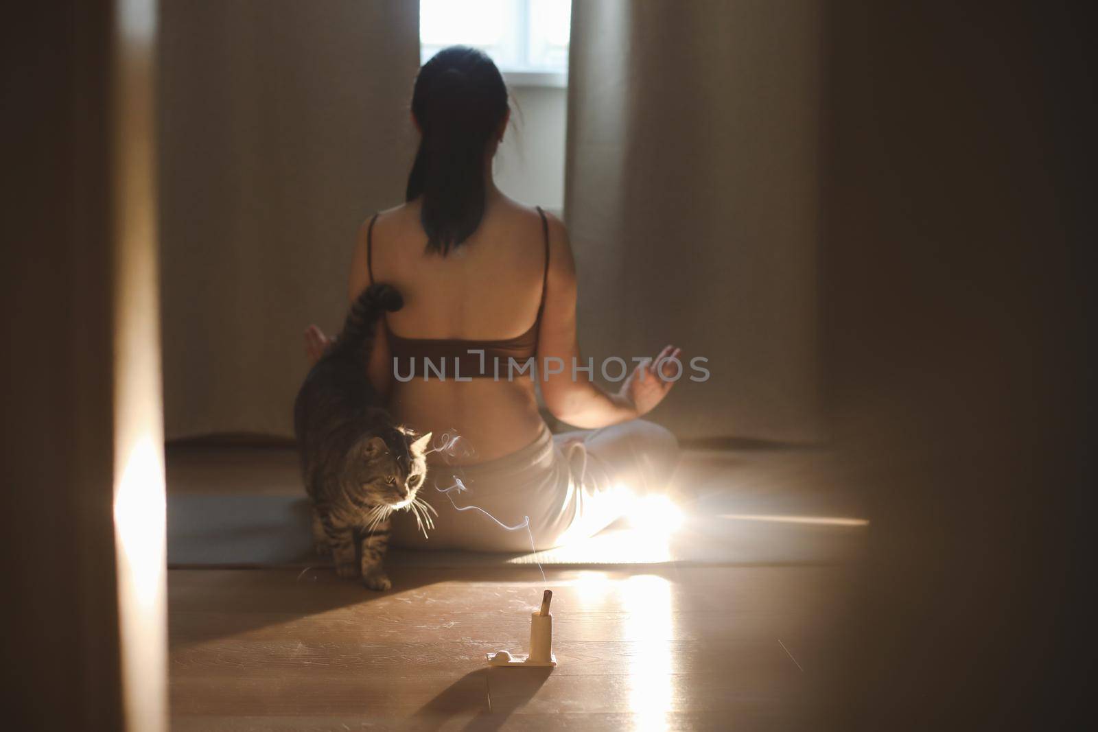 Young woman practices yoga and meditation at home with her cat. Doing exercises at home. Meditation and mental health concept