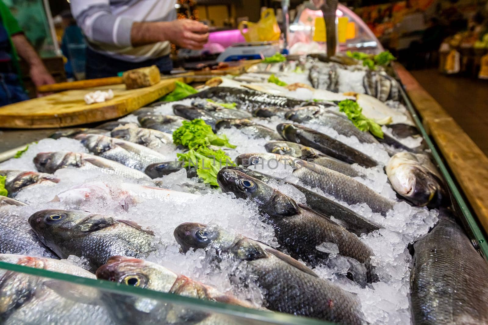 Fresh fish salmon lies on ice on the counter in the store.