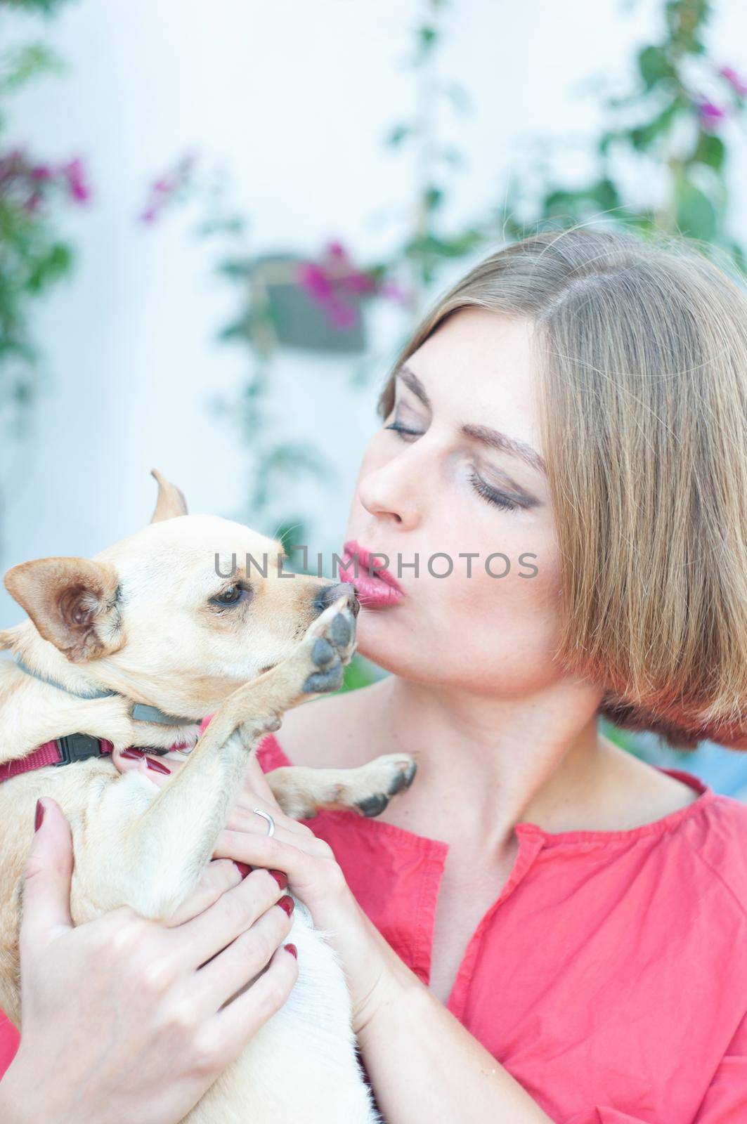 portrait beautiful young blonde smiling and pet dog Chihuahua by KaterinaDalemans