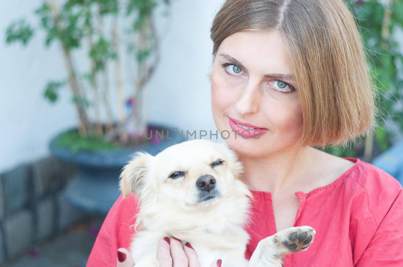 portrait beautiful young blonde smiling and pet dog Chihuahua. High quality photo