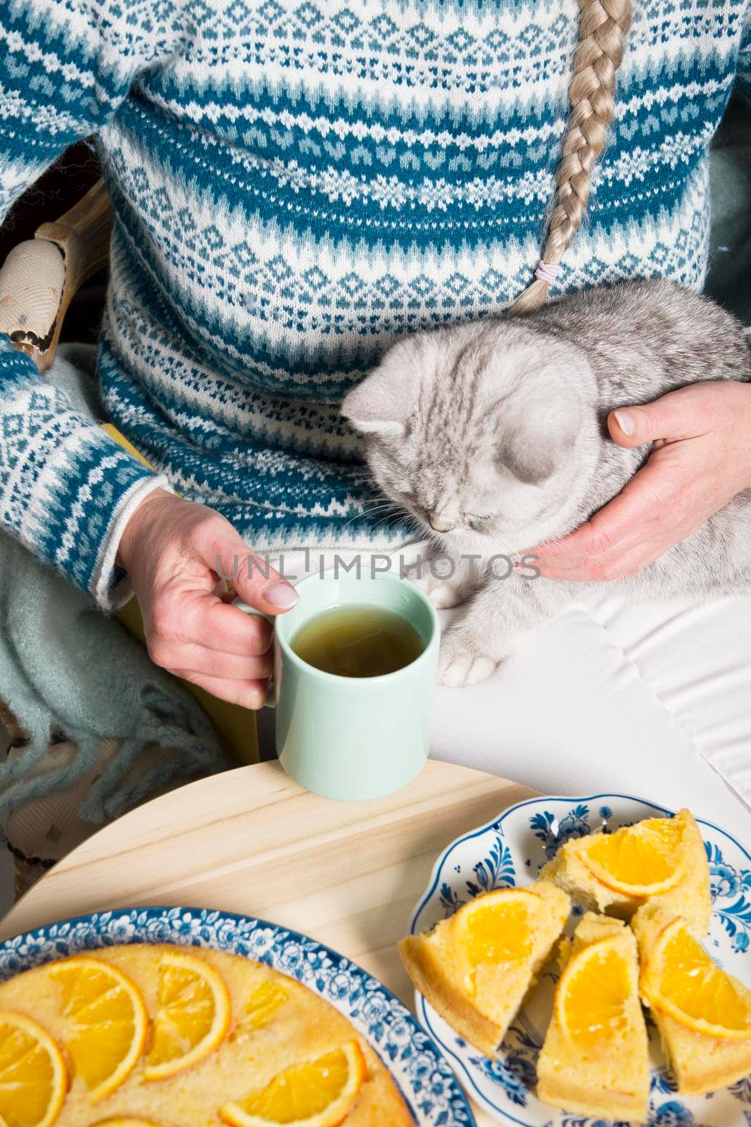 the hostess hands the gray kitten a piece of cake in the palm of her hand, we have a cup of tea and an orange pie, cozy vibes, a warm homely atmosphere. High quality photo