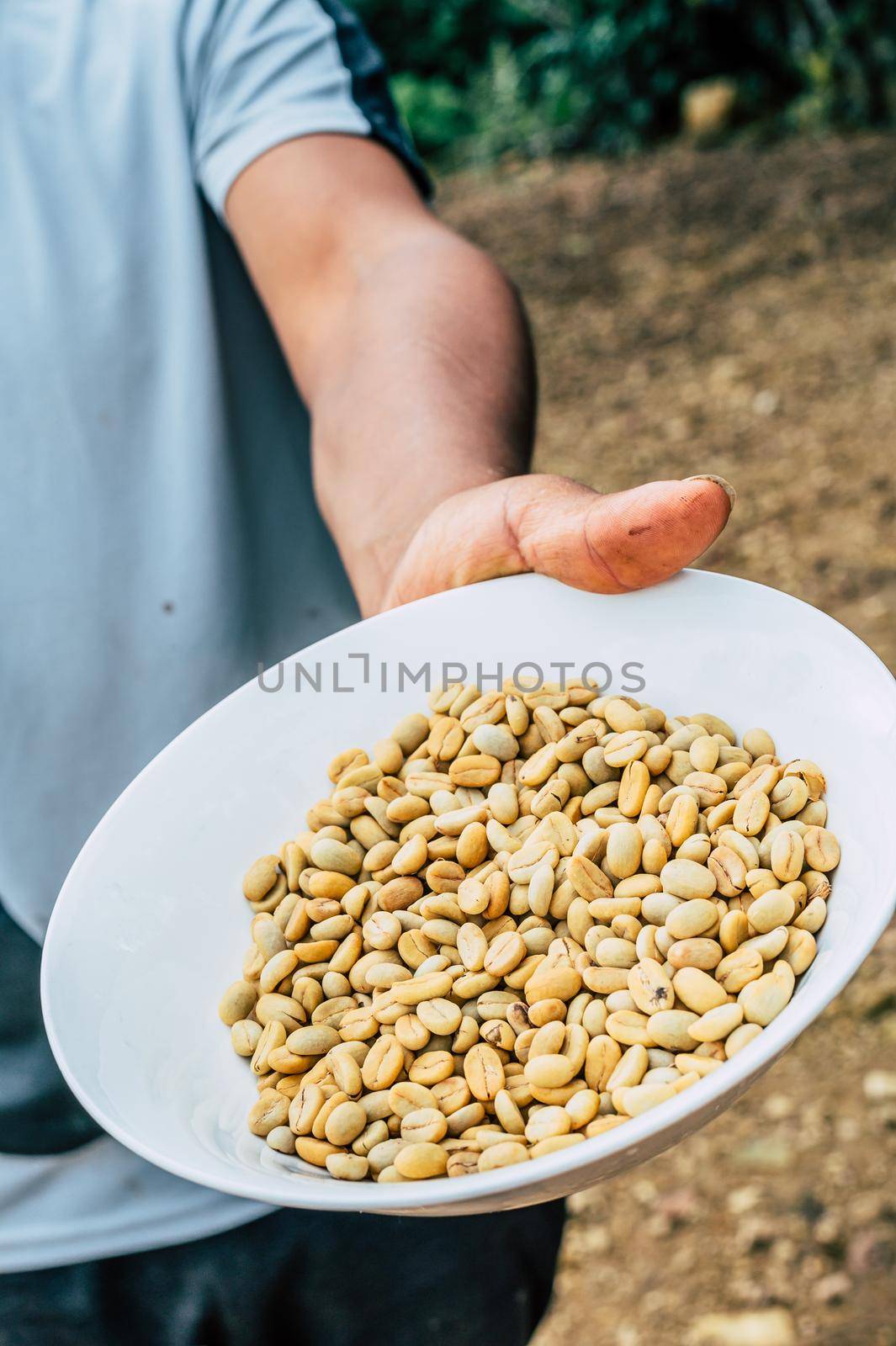 Coffee Farmer Showing Coffee Beans