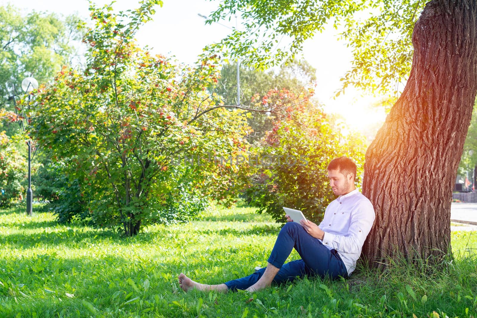 Young man using tablet computer under tree in park on sunny day. Handsome businessman looking at tablet screen. Calm man sitting on green grass leaning against tree. Mobile communication concept.