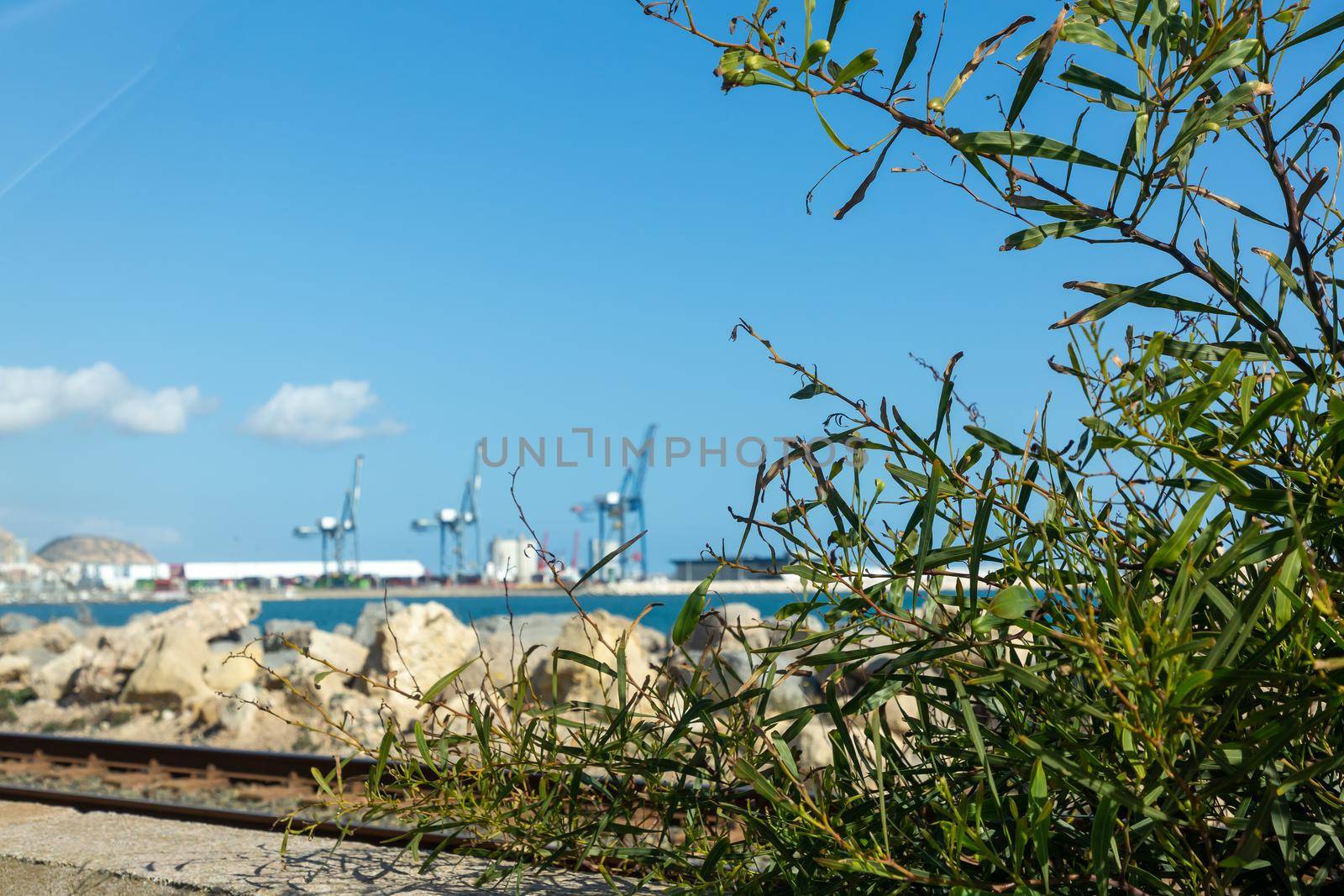 The seashore through the bushes, a commercial port and port cranes on the horizon. Summer Mediterranean Sea by Milanchikov