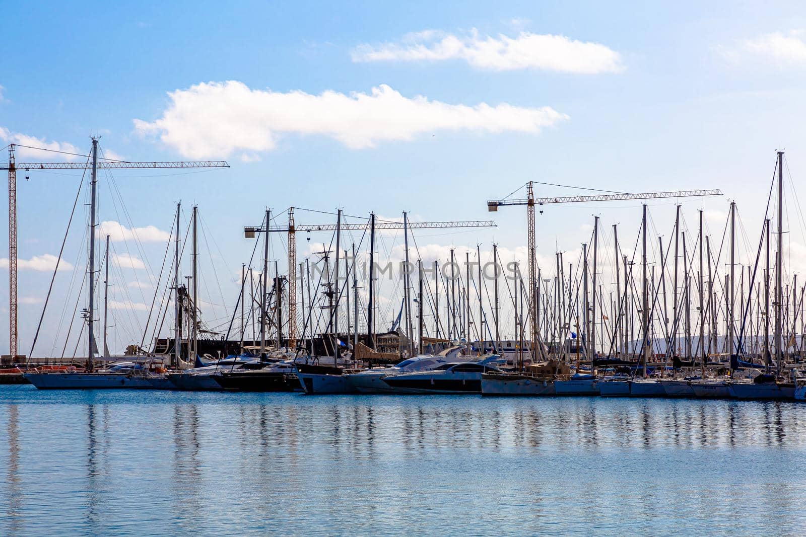 White yachts are in a marina on the Mediterranean coast